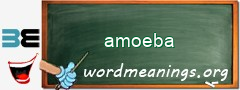 WordMeaning blackboard for amoeba